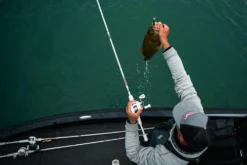 Abu Garcia Veritas Winch Baitcasting Rod 18 Abu Garcia Veritas Winch Baitcasting Rod -Cheap Rods And Lines Store ABU CASTING ROD VERITAS PLX WINCH LIFESTYLE 2021 005