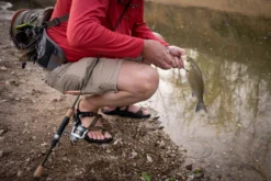 Temple Fork Outfitters Trout-Panfish Spinning Rods -Cheap Rods And Lines Store DSC04055 IG