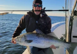 Nomad Design Inshore Spinning Rod -Cheap Rods And Lines Store Inshore Spin