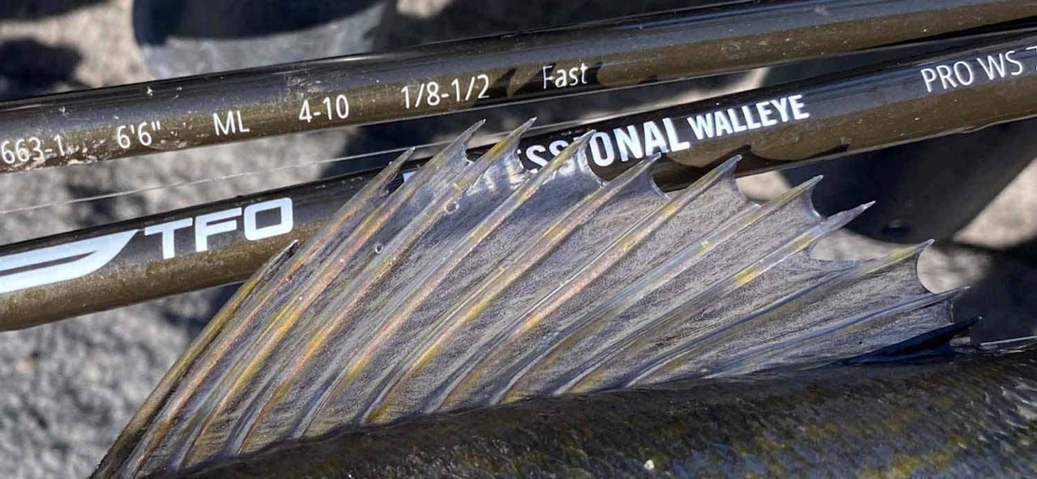 Temple Fork Outfitters Professional Walleye Spinning Rods 3 Temple Fork Outfitters Professional Walleye Spinning Rods - Image 3