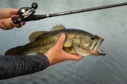 Temple Fork Outfitters Tactical Bass Spinning Rods -Cheap Rods And Lines Store Tactical Bass Bottom Banner Lifestlye 1