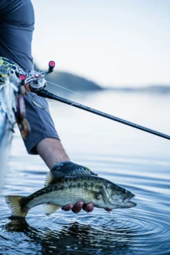 Temple Fork Outfitters Tactical Elite Bass Spinning Rods 24 Temple Fork Outfitters Tactical Elite Bass Spinning Rods -Cheap Rods And Lines Store tfo tactical elite bass bottom banner lifestyle 1 1 3aefa395 da73 4318 948c 1a40ec1d5732