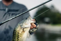 Temple Fork Outfitters Tactical Elite Bass Spinning Rods 16 Temple Fork Outfitters Tactical Elite Bass Spinning Rods -Cheap Rods And Lines Store tfo tactical elite bass bottom banner lifestyle 5 1 8cce2bf0 8629 4e5b 8764 3e02c6dac99d