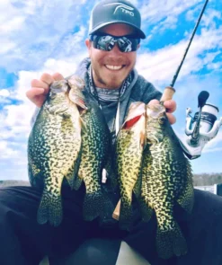 Temple Fork Outfitters Trout-Panfish Spinning Rods -Cheap Rods And Lines Store tfo trout panfish crappie