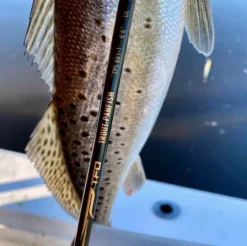 Temple Fork Outfitters Trout-Panfish Spinning Rods -Cheap Rods And Lines Store tfo trout panfish spots